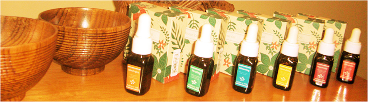 サロンメニューのご案内